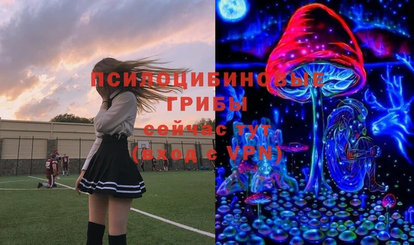 дживик Аркадак