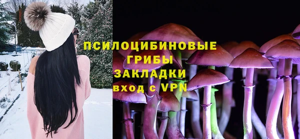 шишки Армянск