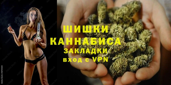 дживик Аркадак