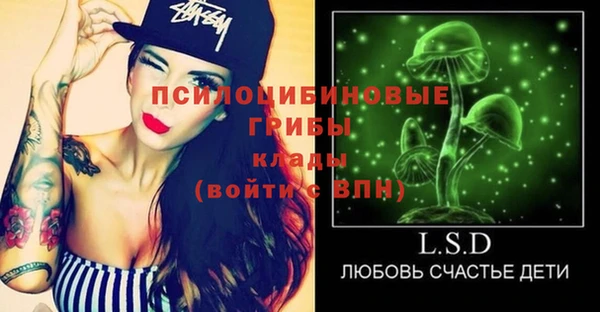 шишки Армянск