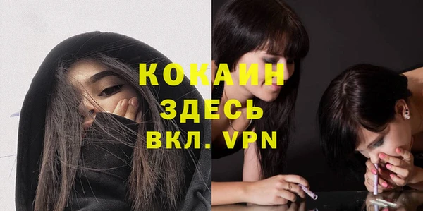 шишки Армянск