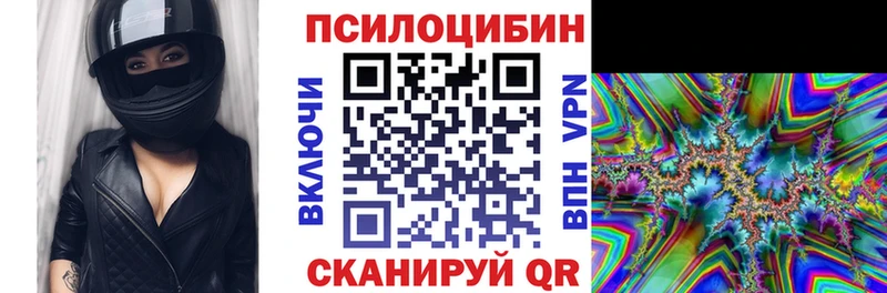 продажа наркотиков  Звенигово  Галлюциногенные грибы Psilocybine cubensis 